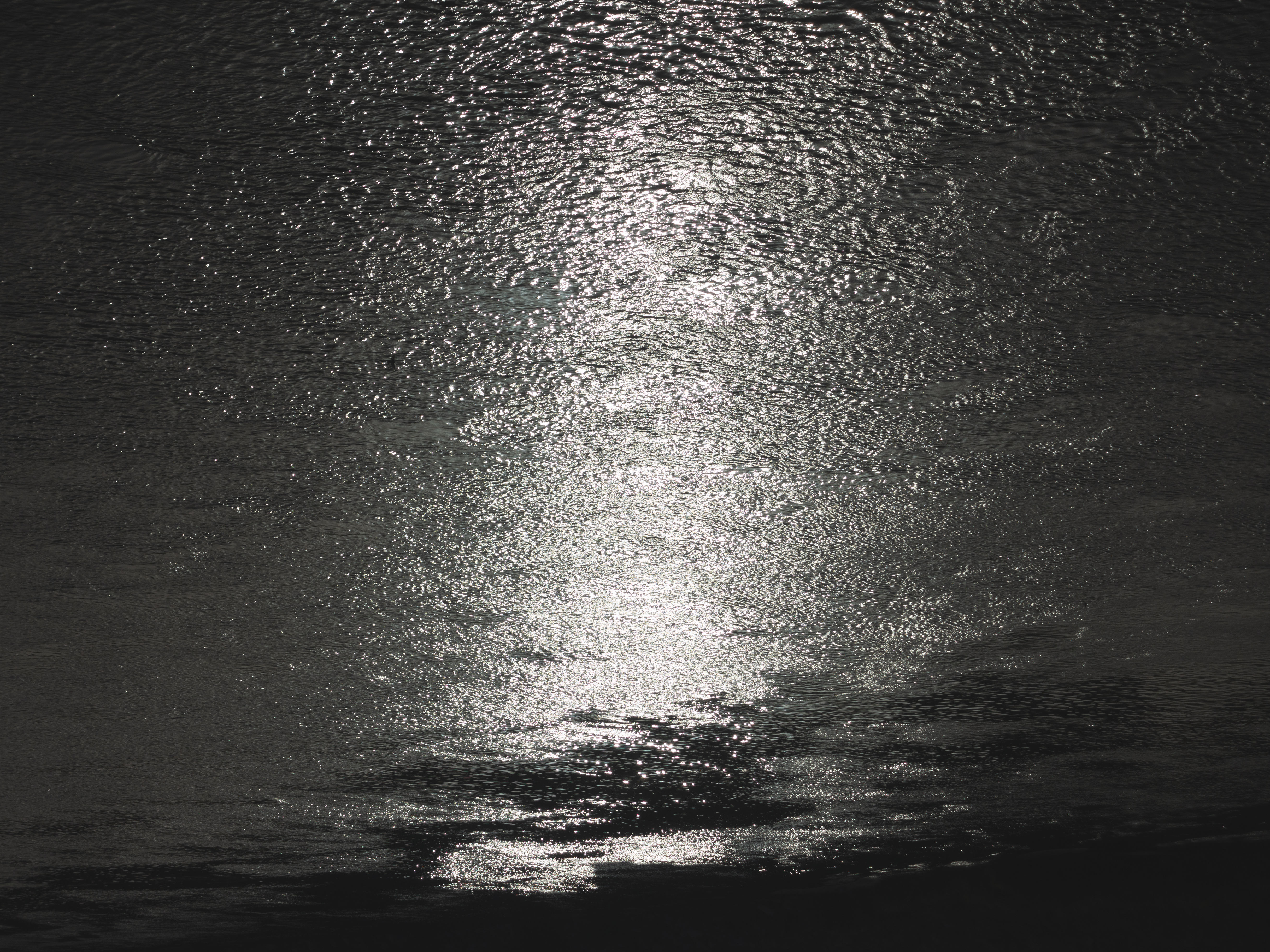 El Ebro (Mora la Nova) - 2022 - Marco Noris